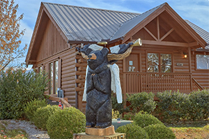 Last Minute Cabin Specials Smoky Mountains Cabins Are Available